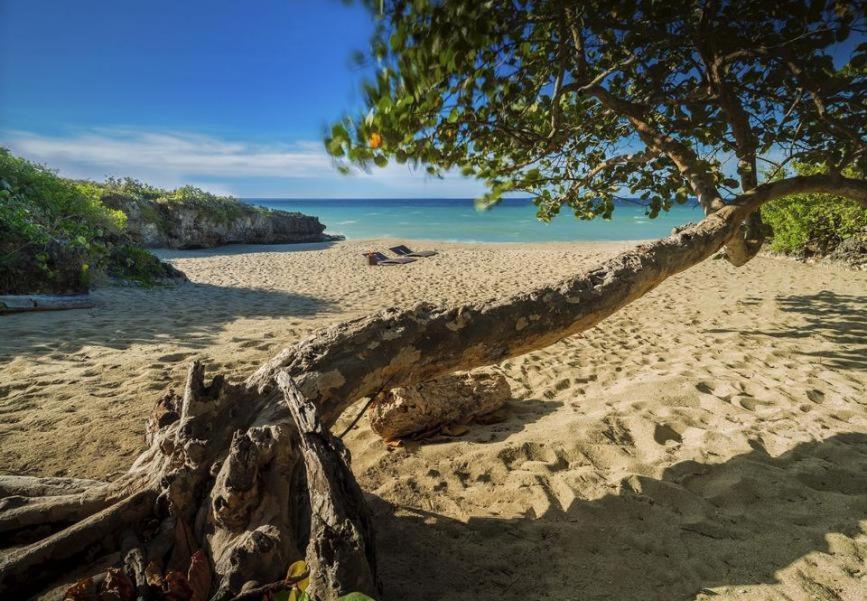 Amazing Condos At Sosua Ocean Village Екстер'єр фото